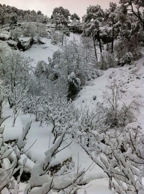 Storm hits Lebanon
